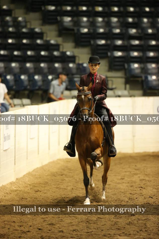 Proof 18BUCK_05676