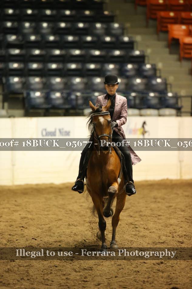 Proof 18BUCK_05677