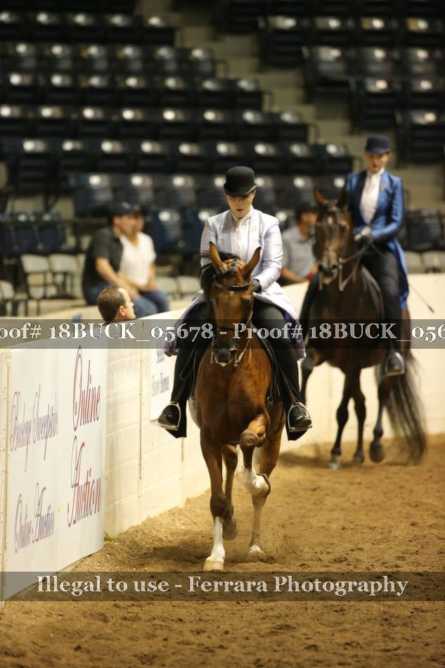 Proof 18BUCK_05678