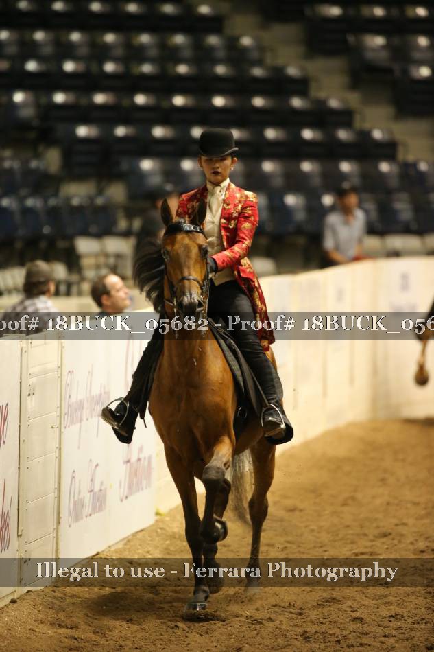 Proof 18BUCK_05682