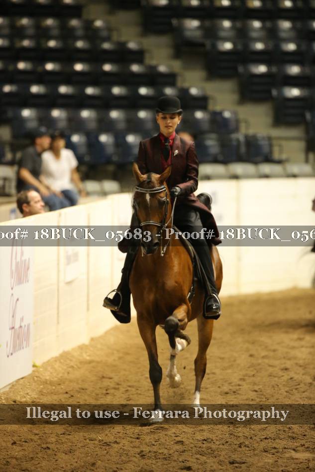 Proof 18BUCK_05683