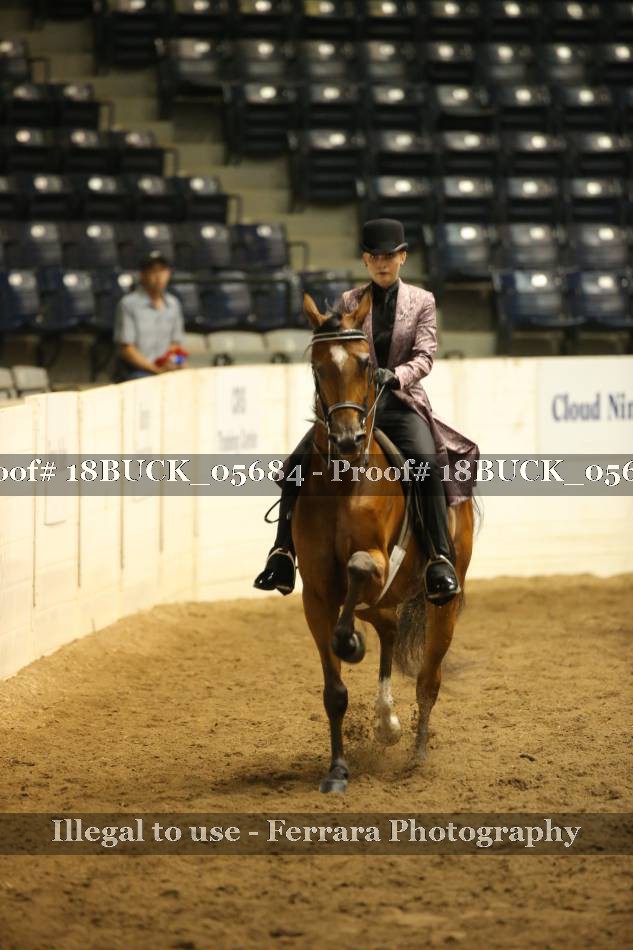 Proof 18BUCK_05684