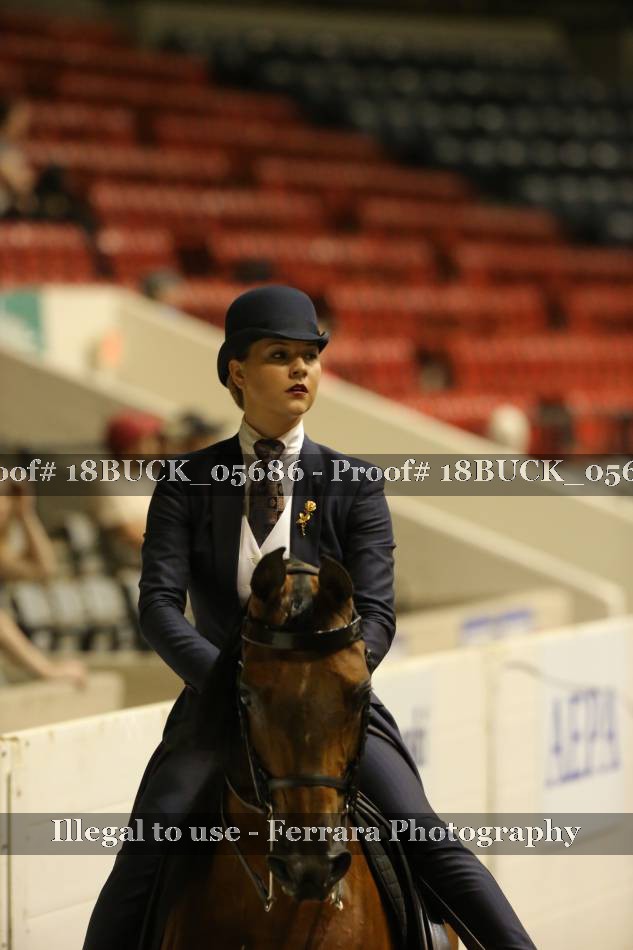 Proof 18BUCK_05686