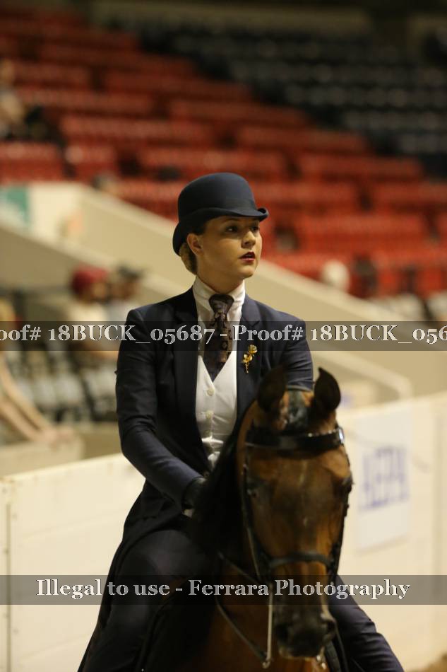 Proof 18BUCK_05687