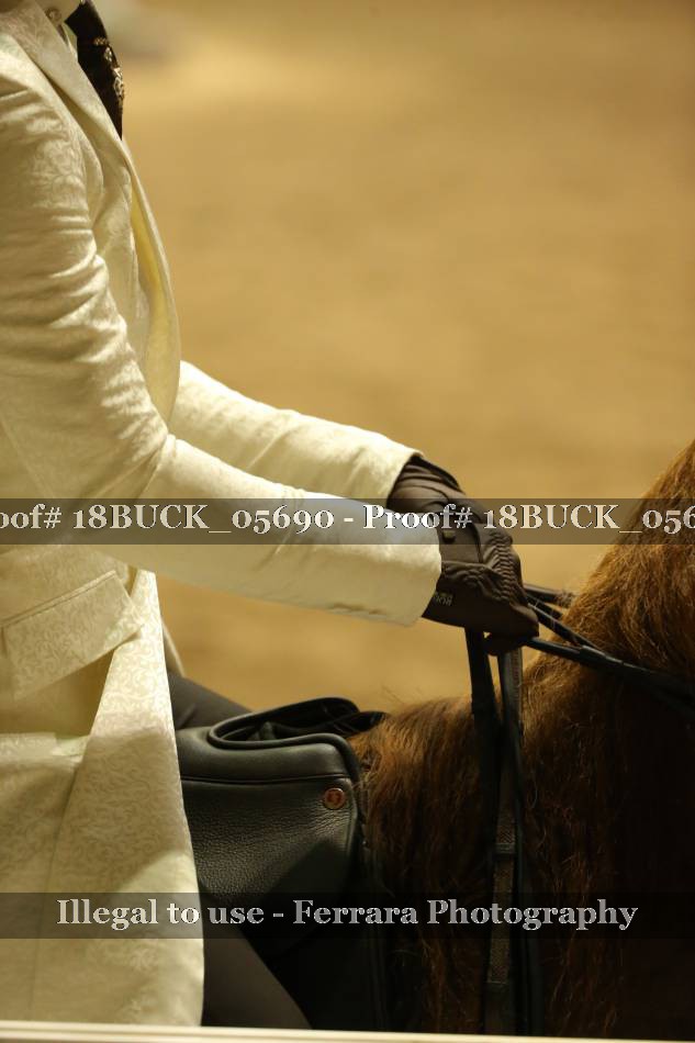 Proof 18BUCK_05690