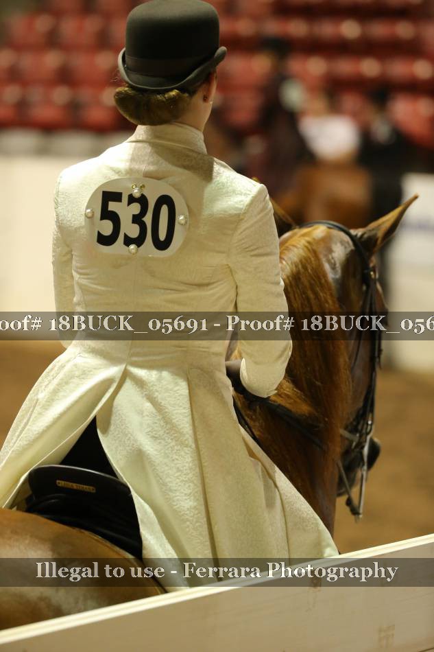 Proof 18BUCK_05691