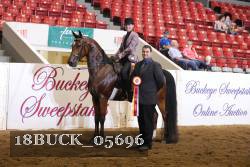 18BUCK_05696 proof