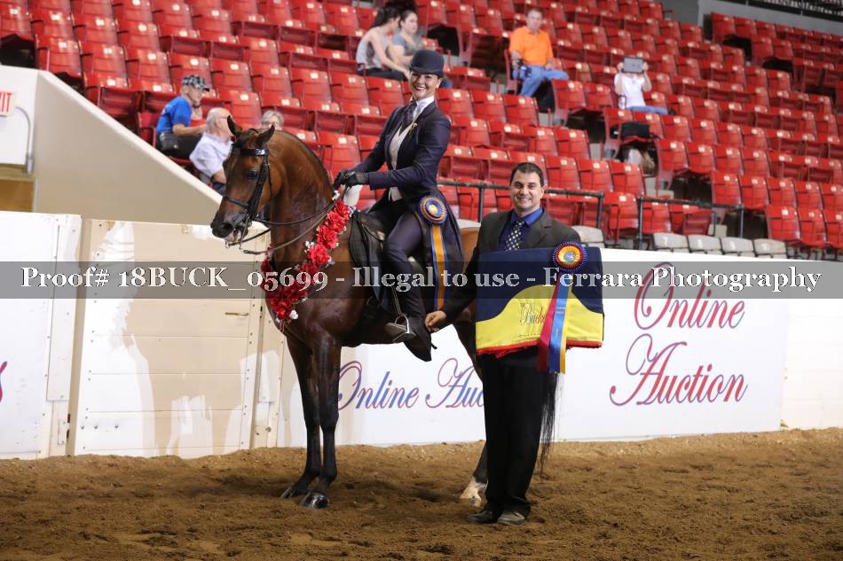 Proof 18BUCK_05699