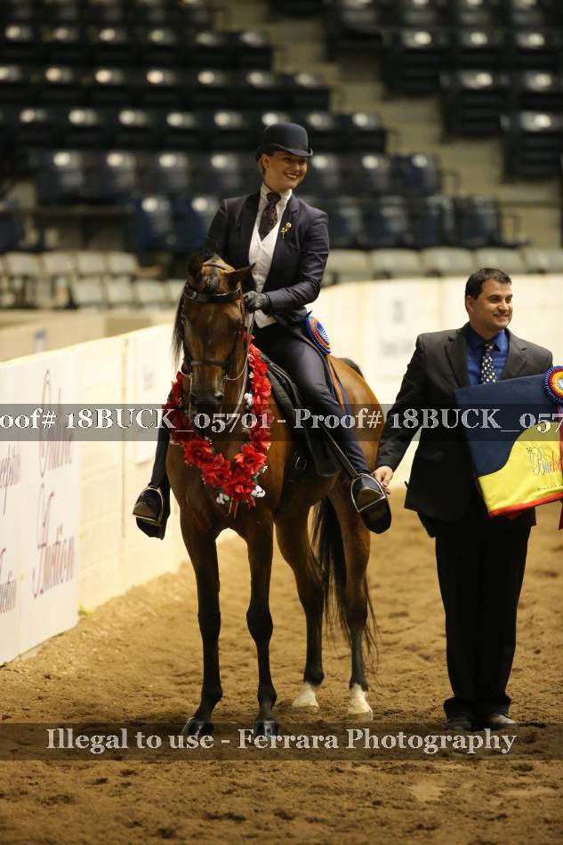 Proof 18BUCK_05701