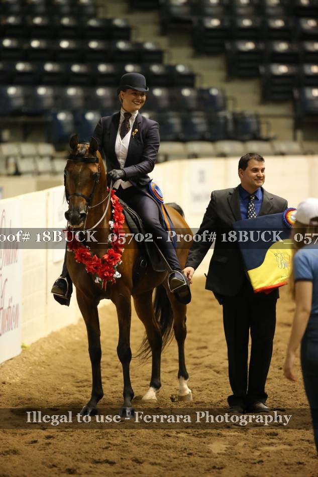 Proof 18BUCK_05702