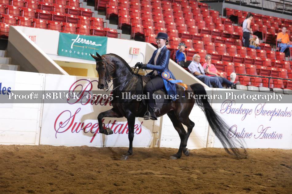 Proof 18BUCK_05705