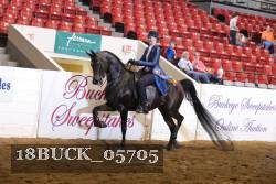 18BUCK_05705 proof