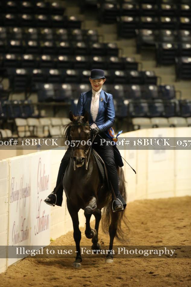 Proof 18BUCK_05706