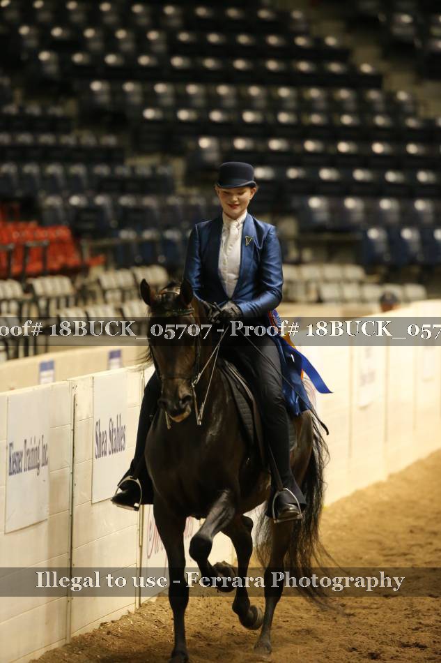 Proof 18BUCK_05707