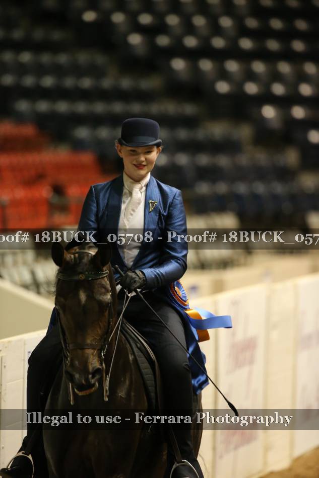 Proof 18BUCK_05708