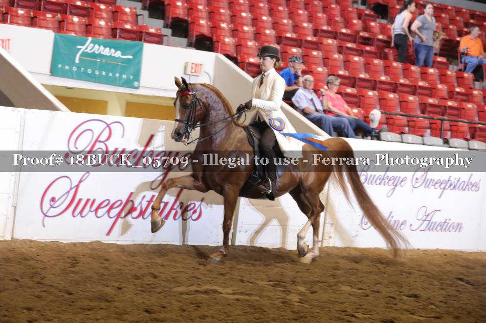 Proof 18BUCK_05709