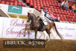 18BUCK_05709 proof