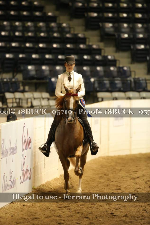 Proof 18BUCK_05710