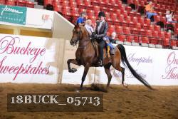 18BUCK_05713 proof