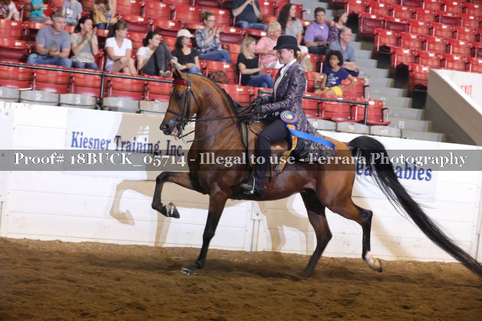 Proof 18BUCK_05714