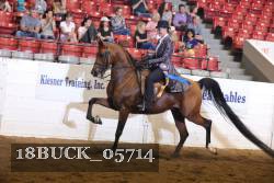 18BUCK_05714 proof