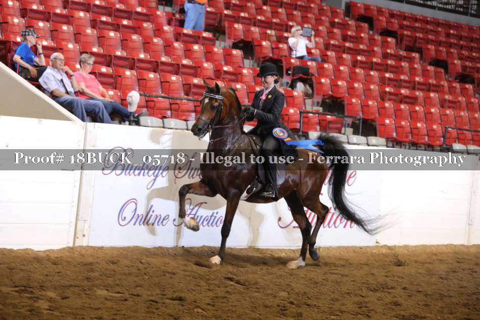 Proof 18BUCK_05718