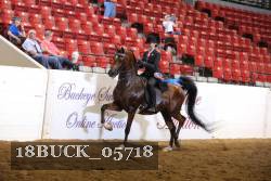 18BUCK_05718 proof