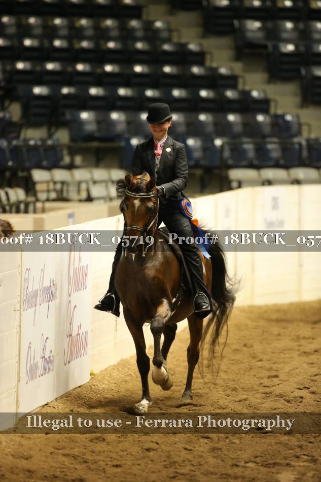 Proof 18BUCK_05719