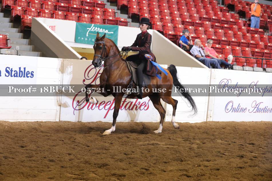 Proof 18BUCK_05721