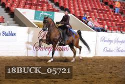 18BUCK_05721 proof