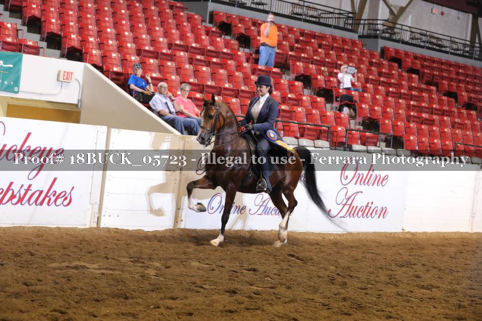 Proof 18BUCK_05723