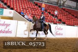 18BUCK_05723 proof