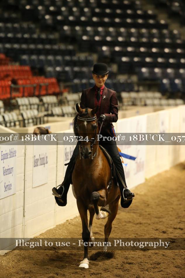 Proof 18BUCK_05724