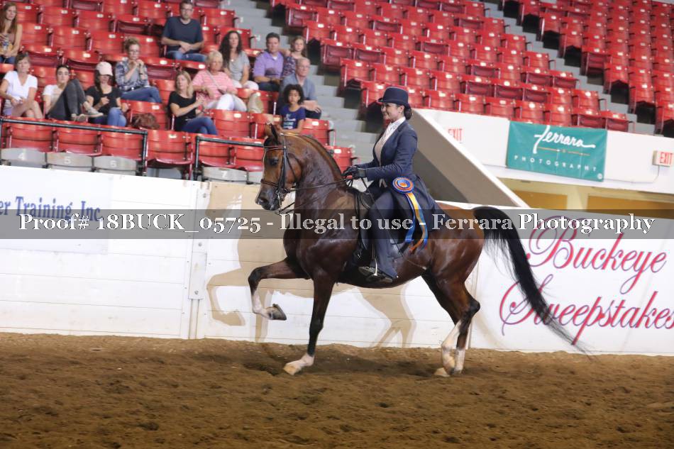 Proof 18BUCK_05725
