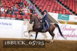 18BUCK_05725 proof