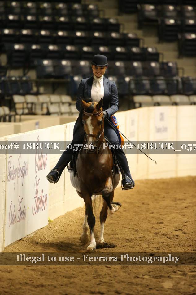 Proof 18BUCK_05726