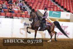 18BUCK_05728 proof