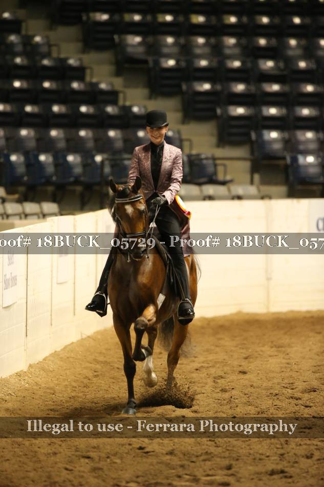 Proof 18BUCK_05729