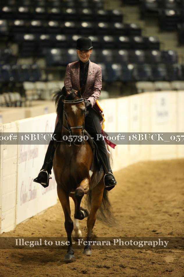 Proof 18BUCK_05730