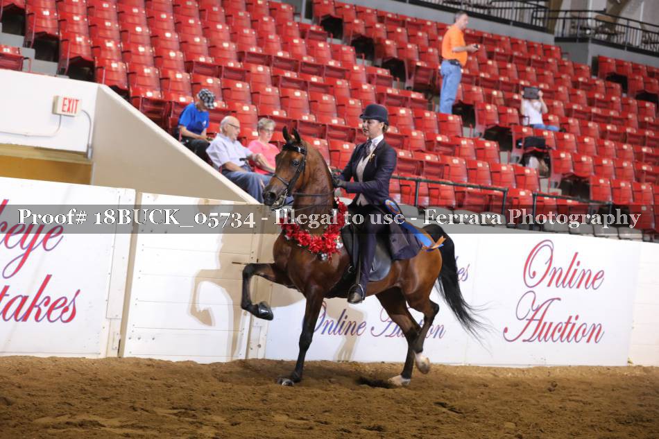 Proof 18BUCK_05734