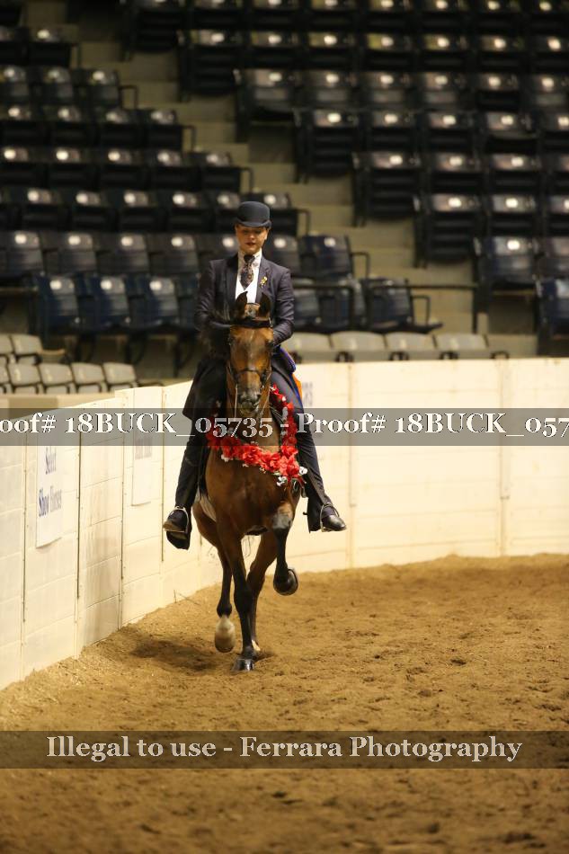 Proof 18BUCK_05735