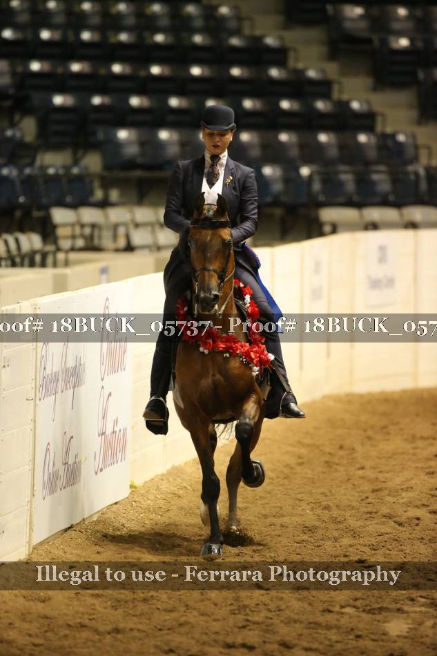 Proof 18BUCK_05737