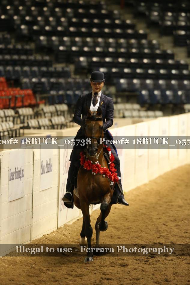 Proof 18BUCK_05738
