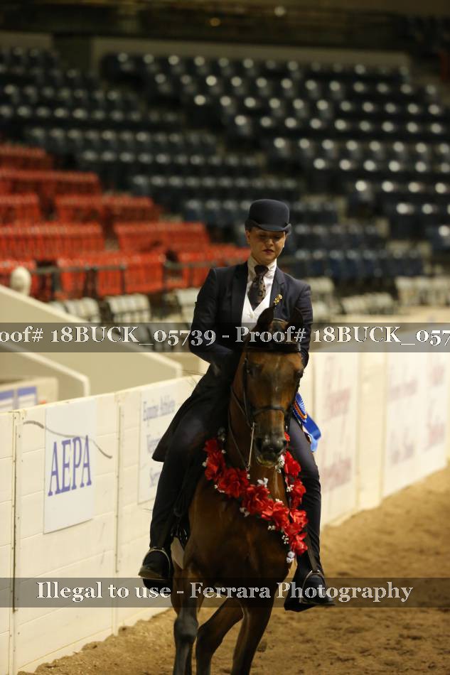 Proof 18BUCK_05739