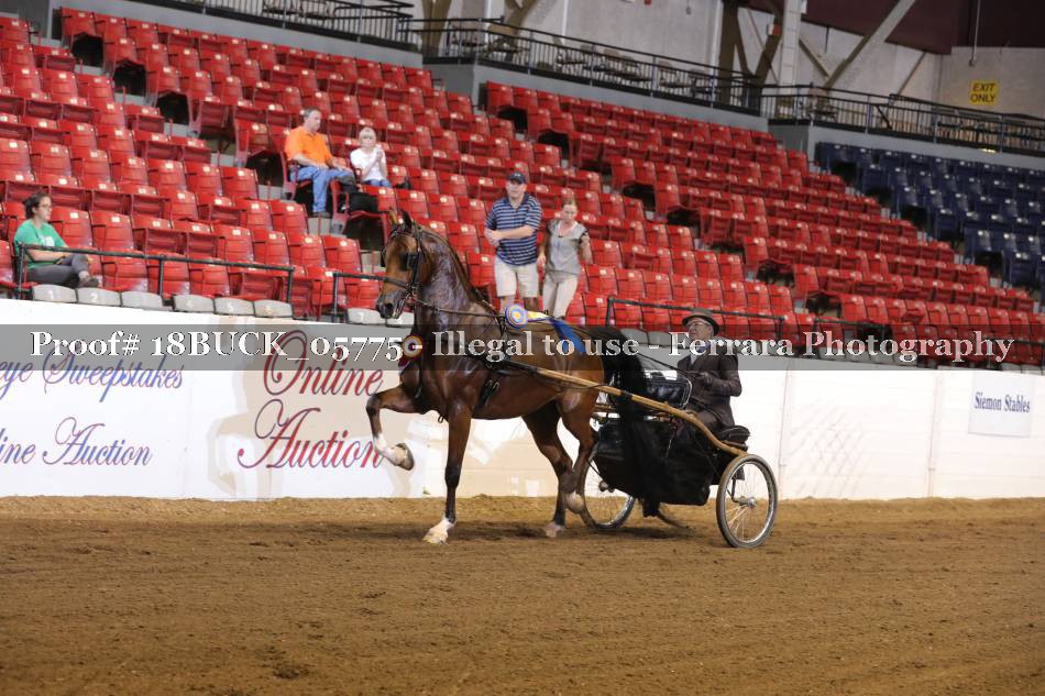 Proof 18BUCK_05775