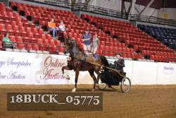 18BUCK_05775 proof