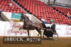 18BUCK_05776 proof