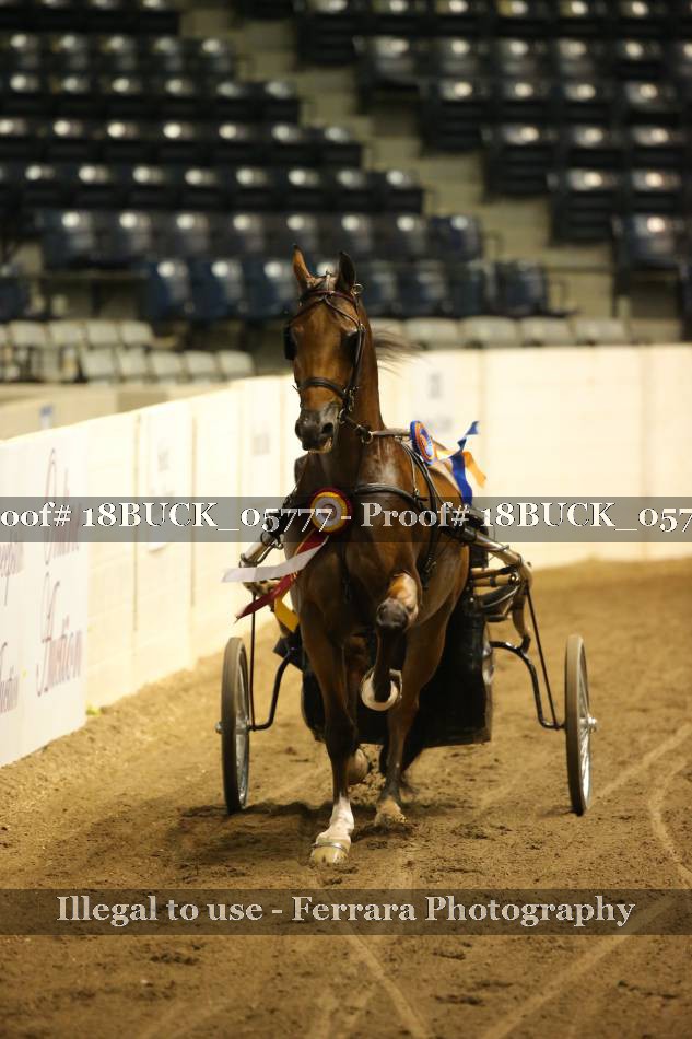 Proof 18BUCK_05777