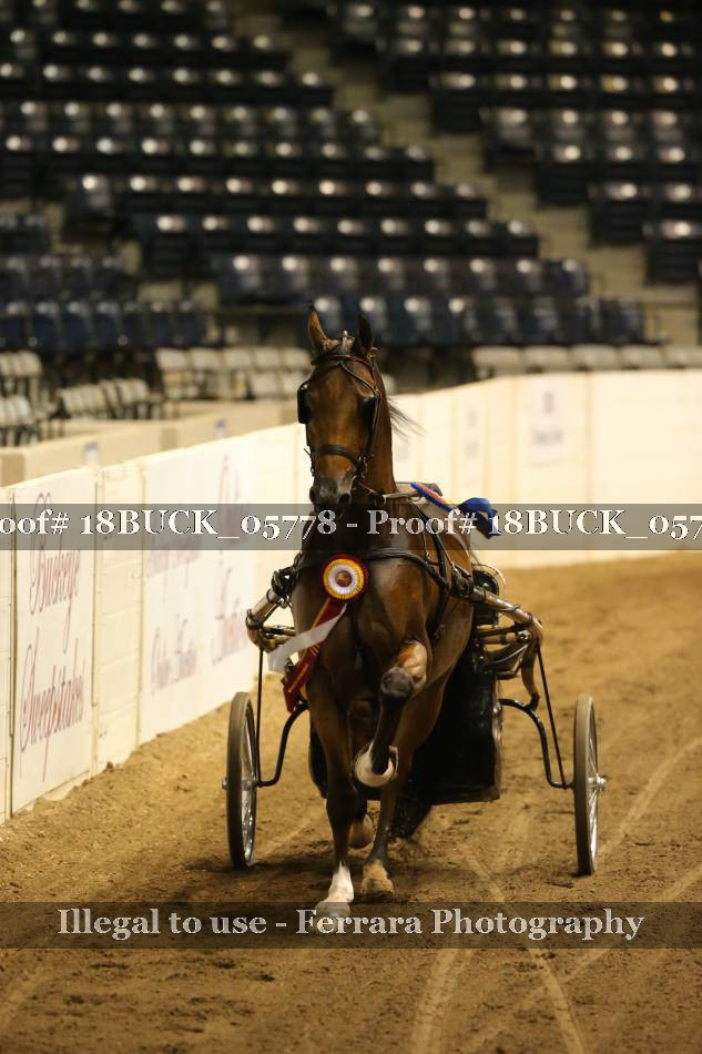 Proof 18BUCK_05778