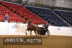18BUCK_05779 proof